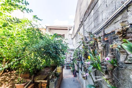 Casa à venda com 462m², 2 quartos e 3 vagasQuintal