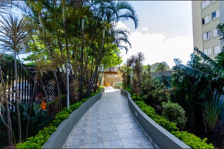 Apartamento para alugar com 57m², 2 quartos e 1 vaga Apartamento para alugar com 57m², 2 quartos e 1 vagaÁrea comum