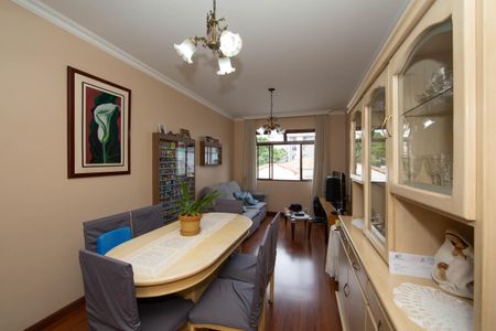 SALA de apartamento à venda com 3 quartos, 101m² em Alto Caiçaras, Belo Horizonte