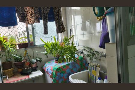 Apartamento à venda com 3 quartos, 79m² em Vila Bertioga, São Paulo