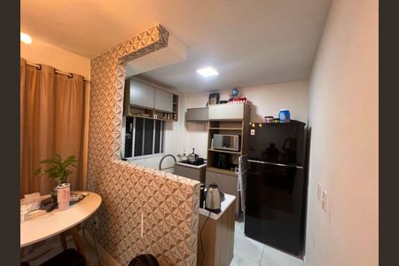 Cozinha de apartamento para alugar com 2 quartos, 39m² em Canudos, Novo Hamburgo