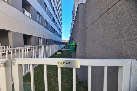 Studio para alugar com 18m², 1 quarto e sem vaga Studio para alugar com 18m², 1 quarto e sem vagaÁrea comum - Pet place