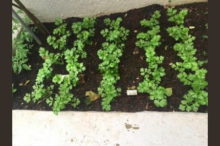 Apartamento para alugar com 3 quartos, 100m² em Vila Mariana, São Paulo