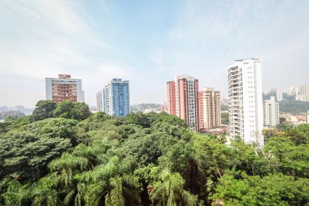 Vista da Varanda de apartamento para alugar com 3 quartos, 281m² em Vila Morse, São Paulo