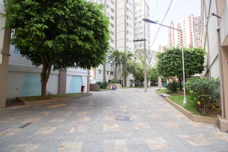 Apartamento para alugar com 132m², 3 quartos e 2 vagas Apartamento para alugar com 132m², 3 quartos e 2 vagasÁrea comum