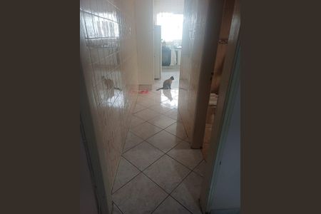 Casa à venda com 2 quartos, 150m² em Parque Capuava, Santo André