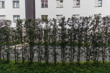 Vista Quarto 1 de apartamento à venda com 2 quartos, 52m² em Jardim Redil, São Paulo