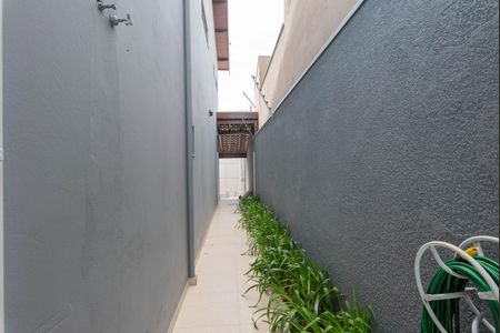 Quintal de casa para alugar com 3 quartos, 218m² em Jardim Uruguai, Campinas