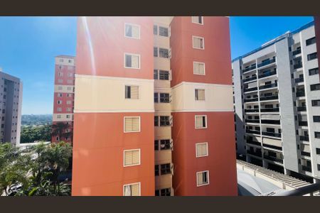 Apartamento para alugar com 3 quartos, 70m² em Vila Nova, Campinas
