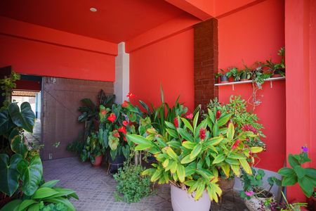 Casa para alugar com 349m², 4 quartos e 6 vagasQuintal