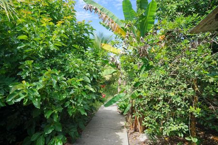 Casa para alugar com 349m², 4 quartos e 6 vagasQuintal