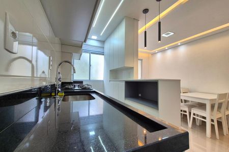 Apartamento para alugar com 49m², 2 quartos e 1 vagaCozinha 