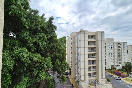 Vista do Quarto 1 de apartamento para alugar com 2 quartos, 49m² em Jardim Nova Europa, Campinas