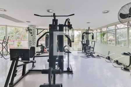 Apartamento para alugar com 65m², 3 quartos e 1 vaga Apartamento para alugar com 65m², 3 quartos e 1 vagaÁrea comum