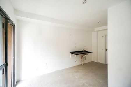Sala quarto e cozinha de kitnet/studio à venda com 1 quarto, 26m² em Vila Zilda, São Paulo