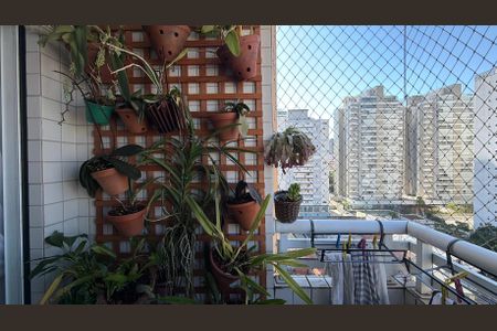 Apartamento à venda com 73m², 3 quartos e 2 vagasSacada