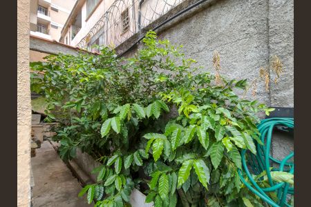 Casa à venda com 292m², 5 quartos e 2 vagasQuintal