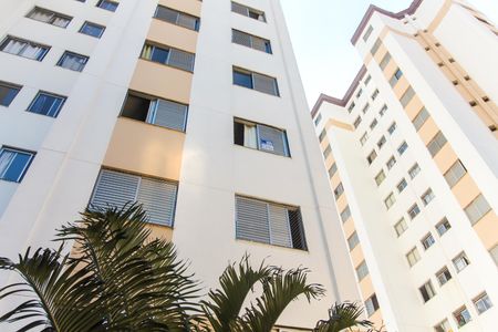 Apartamento para alugar com 48m², 2 quartos e 1 vaga Apartamento para alugar com 48m², 2 quartos e 1 vagaPlaca na Janela