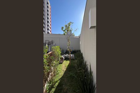 Studio para alugar com 26m², 1 quarto e sem vagaPetplace 