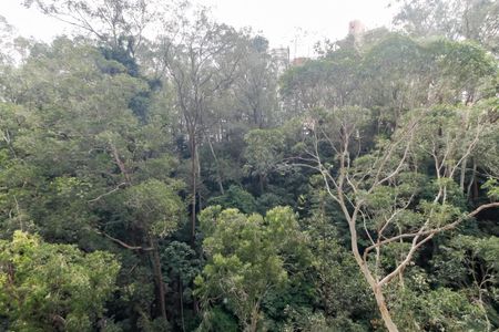 Vista - Varanda de apartamento para alugar com 4 quartos, 210m² em Vila Andrade, São Paulo