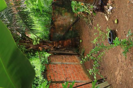 Casa para alugar com 120m², 2 quartos e 1 vagaQuintal