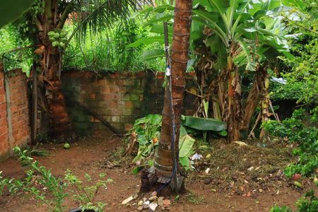 Casa para alugar com 120m², 2 quartos e 1 vagaQuintal