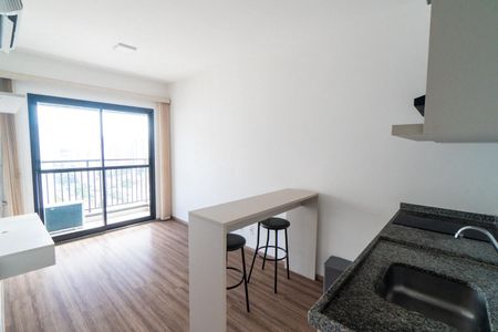 Sala/Cozinha de kitnet/studio para alugar com 1 quarto, 27m² em Vila Santa Catarina, São Paulo