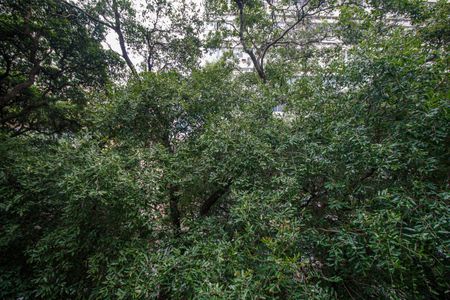 Apartamento à venda com 140m², 3 quartos e 2 vagasSala Varanda Vista