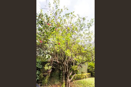 Casa de condomínio para alugar com 230m², 2 quartos e 1 vaga Casa de condomínio para alugar com 230m², 2 quartos e 1 vagaQuintal