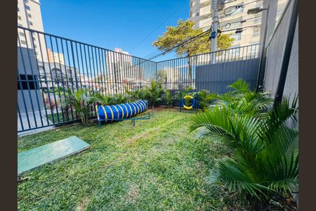 Apartamento para alugar com 55m², 2 quartos e 1 vaga Apartamento para alugar com 55m², 2 quartos e 1 vagaÁrea comum - Pet Place