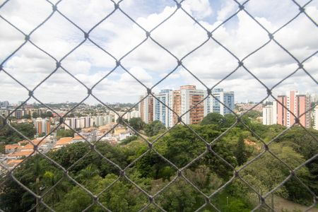 Vista Varanda da Sala de apartamento à venda com 4 quartos, 190m² em Vila Morse, São Paulo