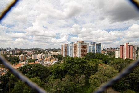Apartamento à venda com 190m², 4 quartos e 3 vagasVista Varanda Suíte 1