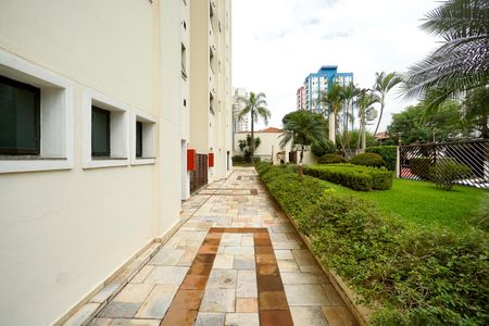 Apartamento para alugar com 55m², 2 quartos e 1 vagaÁrea externa