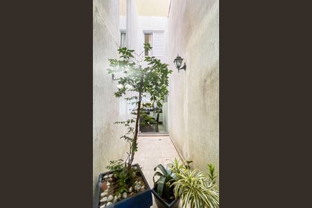 Casa à venda com 135m², 3 quartos e 3 vagasJardim de inverno 