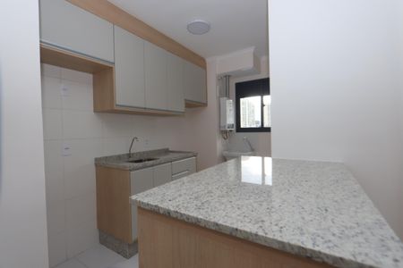 Apartamento para alugar com 37m², 2 quartos e 1 vagaCozinha