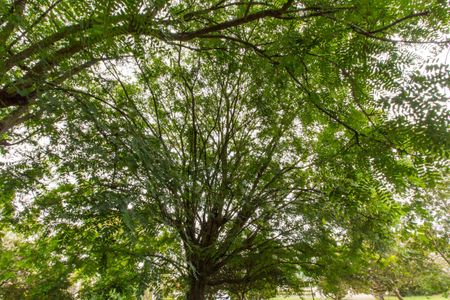 Casa de condomínio para alugar com 360m², 2 quartos e 6 vagas Casa de condomínio para alugar com 360m², 2 quartos e 6 vagasÁrea comum