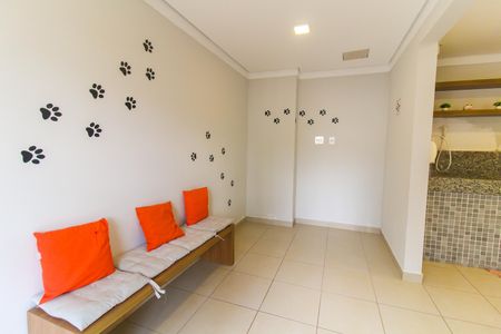 Apartamento para alugar com 32m², 2 quartos e sem vaga Apartamento para alugar com 32m², 2 quartos e sem vagaPet care