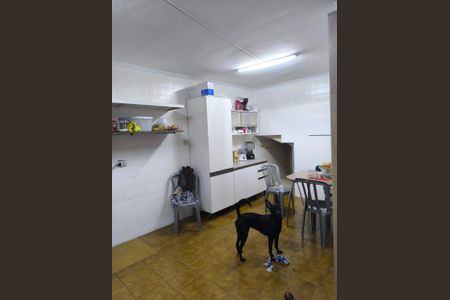 Casa à venda com 5 quartos, 227m² em Planalto Paulista, São Paulo