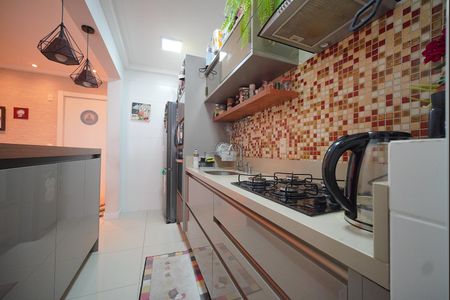 Cozinha de apartamento para alugar com 2 quartos, 67m² em Coqueiros, Florianópolis