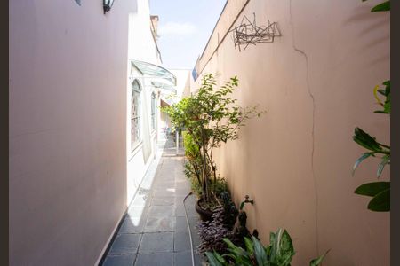 Casa à venda com 230m², 4 quartos e 3 vagasQuintal