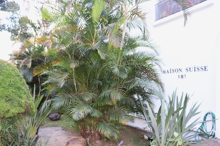 Apartamento à venda com 43m², 1 quarto e 1 vagaÁrea Comum