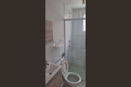 Banheiro de apartamento para alugar com 2 quartos, 55m² em Loteamento Parque São Martinho, Campinas