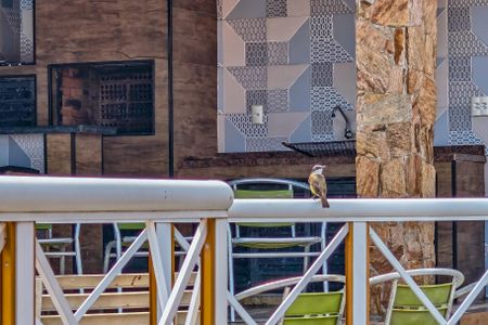 Casa para alugar com 600m², 3 quartos e 5 vagasPiscina