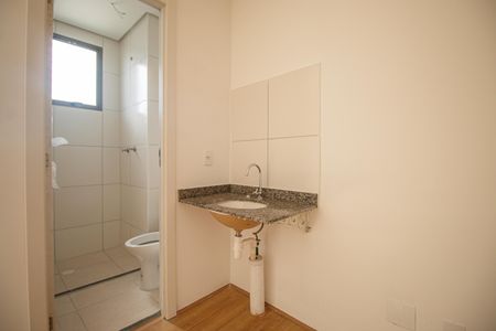 Banheiro de apartamento para alugar com 0 quarto, 32m² em Santo Cristo, Rio de Janeiro