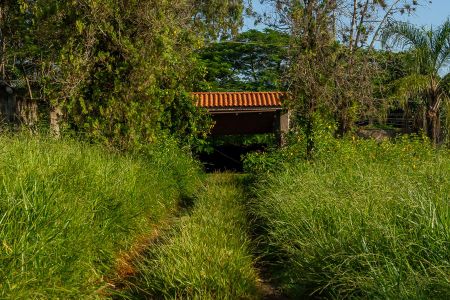 Casa para alugar com 6000m², 3 quartos e 5 vagas Casa para alugar com 6000m², 3 quartos e 5 vagasPortão de acesso a casa