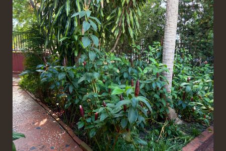 Casa para alugar com 260m², 4 quartos e 2 vagasJardim