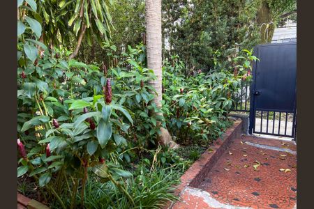 Casa para alugar com 260m², 4 quartos e 2 vagasJardim