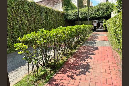 Apartamento para alugar com 40m², 1 quarto e sem vaga Apartamento para alugar com 40m², 1 quarto e sem vagaÁrea comum