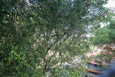 Apartamento à venda com 75m², 2 quartos e 1 vagaVista do Quarto 2