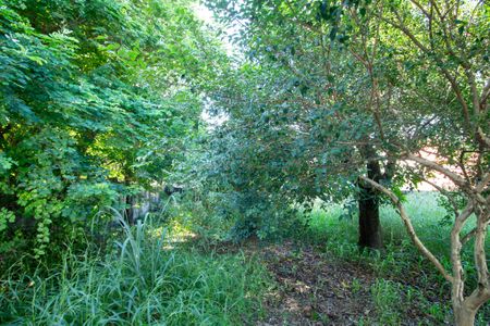 Casa para alugar com 112m², 2 quartos e 4 vagas Casa para alugar com 112m², 2 quartos e 4 vagasVista